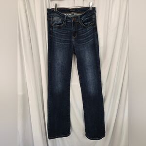Judy Blue Fall Straight Jeans Size 9/29